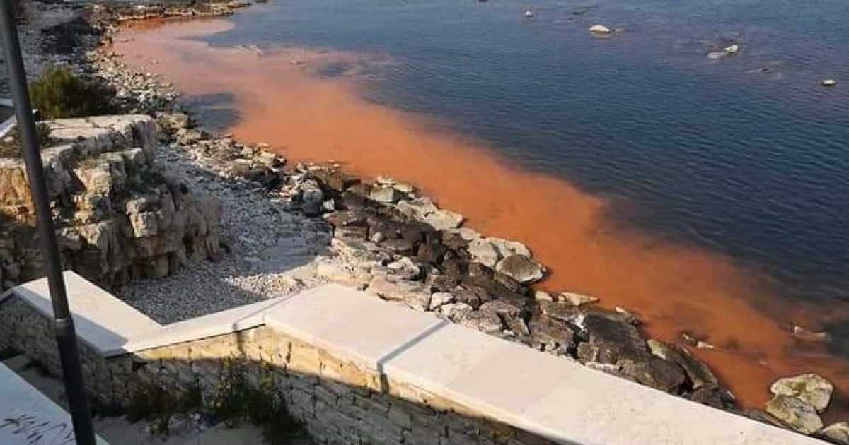Il mare sta diventando arancione: �Sono alghe e proliferano "grazie" alla quarantena�